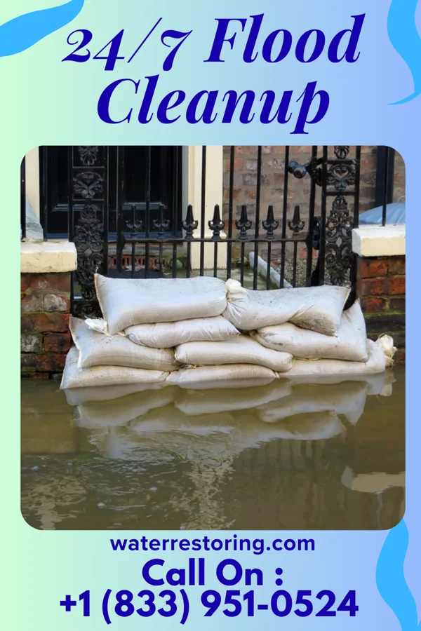 24/7 Flood Cleanup in Kings Park West, VA