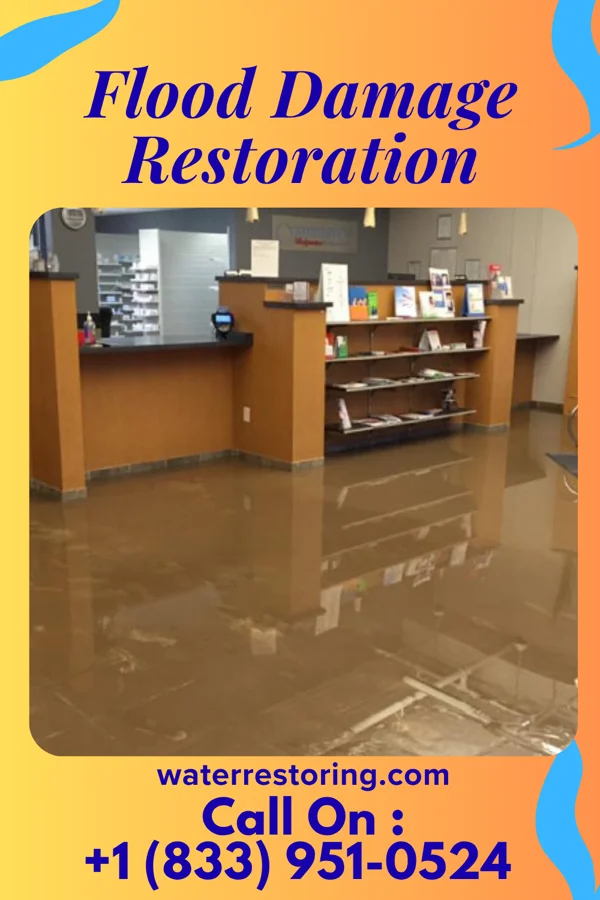 Flood Damage Restoration in Kings Park West, VA
