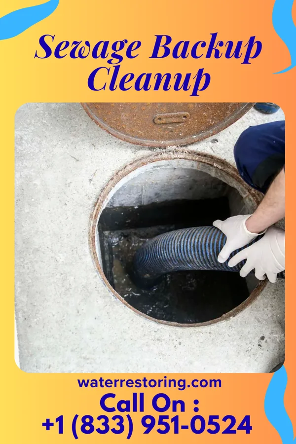 Sewage Backup Cleanup in Kings Park West, VA