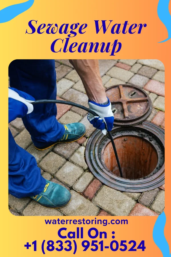 Sewage Water Cleanup in Kings Park West, VA