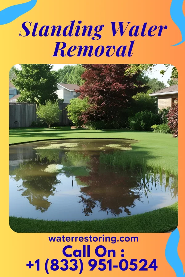 Standing Water Removal in Kings Park West, VA